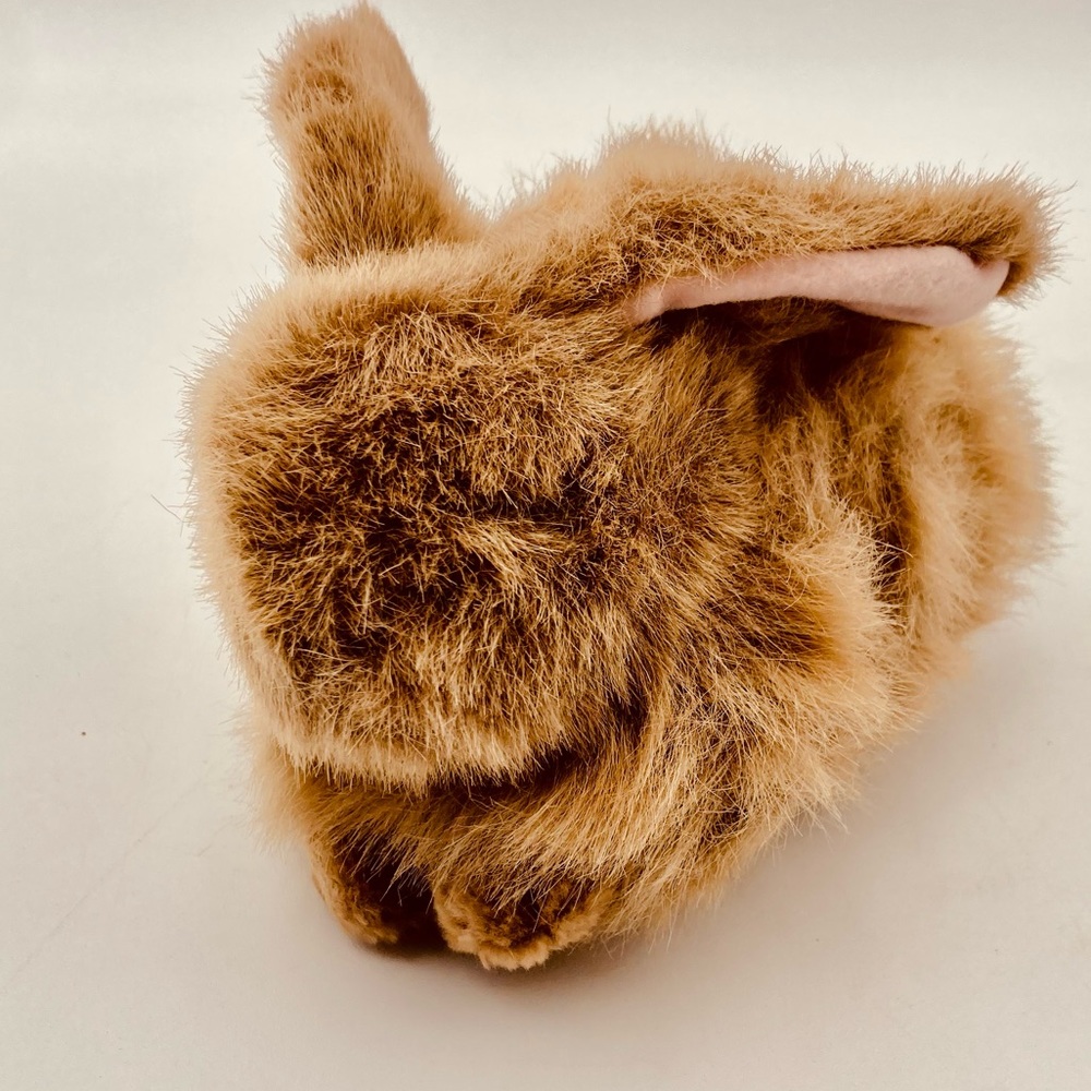 TY Rabbit Beanie Baby Nibbles the Rabbit!